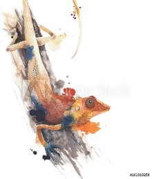 Bild på Lizard garden lizard reptile wild animal critter watercolor painting illustration isolated on white background